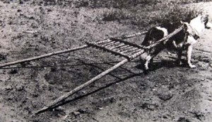 A travois pulled by a dog. (http://www.nhusd.k12.ca.us/ALVE/NativeAmerhome.html/Cheyenne/movingcamp.html)